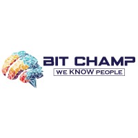 Bit Champ LLC logo - Similar company to Dispatchnpermits