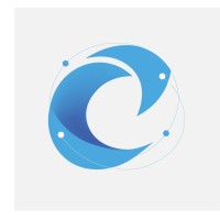 Cognition Software logo - Similar company to Medve Software Factory
