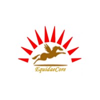 Equidaecore Integrated Nigeria Ltd