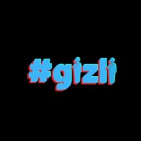 #gizli logo - Similar company to Nespa