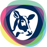 Kalfsupport logo - Similar company to Buildingline