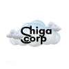 Shiga Corp logo - Similar company to Invicious Technologies Llp