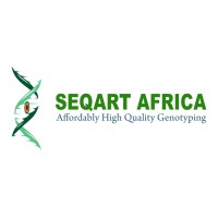 SEQART AFRICA logo - Similar company to Dewcis Solutions Ltd