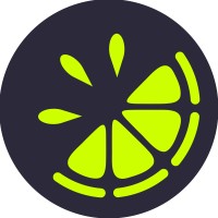 Limeside Creative Limited logo - Similar company to Hoxtonsquare.Com