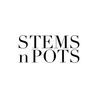 Stems N Pots logo - Similar company to Amore Flowers Ae