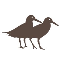Black Oystercatcher logo - Similar company to Neil Ellis Wines