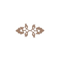 Trellis Weddings logo - Similar company to Studio Evolve