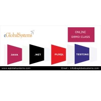 SoftLucid - Software Online Training in USA, India logo - Similar company to Softlucid