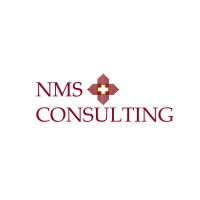 NMS Consulting Inc. logo - Similar company to Partner Design Studio