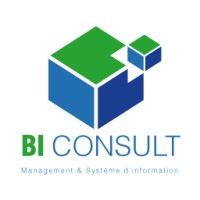 BI CONSULT ALGERIE logo - Similar company to Quantum Systemes & Solutions, Morocco
