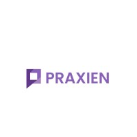 Praxien Tech Pvt Ltd logo - Similar company to Datafriends