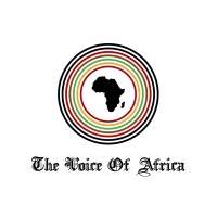 The Voice of Africa logo - Similar company to Dervan Solutions