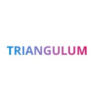 Triangulum Consulting logo - Similar company to Urban Design Movement