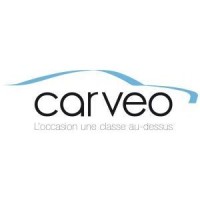 Carveo logo - Similar company to Fitea