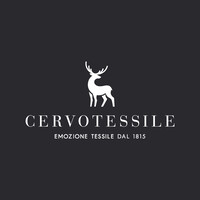CERVOTESSILE S.P.A. logo - Similar company to Mectex - Textile Division By Or.A. S.R.L. - Adler Group