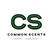 Common Scents Nursery logo - Similar company to Demtool Inc.