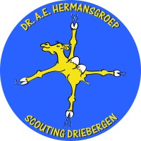Scoutingvereniging Dr. A.E. Hermansgroep logo - Similar company to Figi
