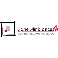 Ligne Ambiances logo - Similar company to Lemon Develop
