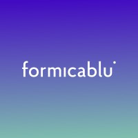 formicablu logo - Similar company to Letscom Srl