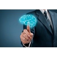 Ekana Personnel logo - Similar company to Ipl Management Llc