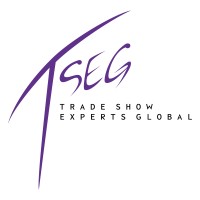 TSEG Oy Ltd logo - Similar company to Geserco