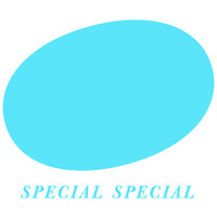 Special Special logo - Similar company to Benwu Studio