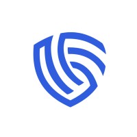 VIDIGI logo - Similar company to Merdika Technology