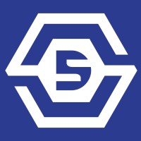 Digisolf Technology Consulting logo - Similar company to Banking Strategic Learning