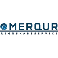 MERQUR logo - Similar company to Fydemedia