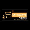Pathway Pinnacle logo - Similar company to Pinnacle Pathway