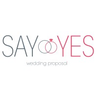 Say Yes logo - Similar company to Infinit | Build, Operate, Transfer (Bot) Solutions