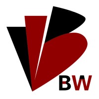 Nantong Bowen International logo - Similar company to Ppgd Furb