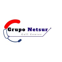 Grupo NetSur logo - Similar company to Afrody