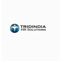 Tridindia HR logo - Similar company to Tridindia It Solutions