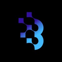Breybiz Digital Marketing Agency logo - Similar company to Growing Digits - Digital Marketing & Social Media Management Agency