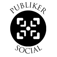 Publiker Social logo - Similar company to Felix König - Qualitätsmanagement