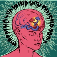 Mapping The Mind With Mushrooms Conference