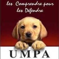 UMPA Maroc logo - Similar company to Ev@Lang