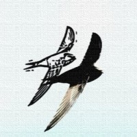 DEUKAL YENİAY İHA TAKIMI logo - Similar company to Deu Rov Team