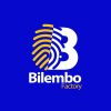 BILEMBO FACTORY SARLU logo - Similar company to Jotune