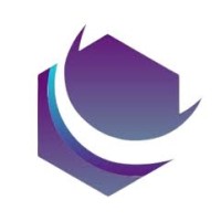 Talent Vizta LLC logo - Similar company to Recskills