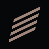 PEICHER Automotive logo - Similar company to Caracter D.O.O.