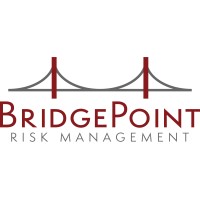 BridgePoint Risk Management logo - Similar company to Cls Partners
