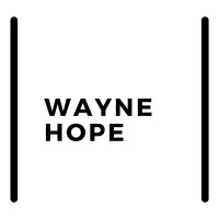 Wayne Hope Coaching logo - Similar company to Pala Consultancy