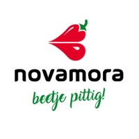Novamora B.V. logo - Similar company to Amazing Bits B.V.  / Safe Dating Networks