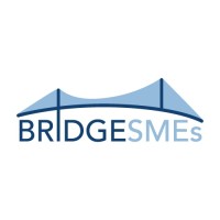 BRIDGESMEs project logo - Similar company to Regional Development Fund Of Attica