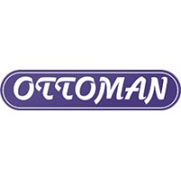 Ottoman Elektrik Elektronik logo - Similar company to Cloudearthi