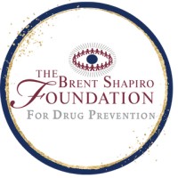 Brent Shapiro Foundation logo - Similar company to Nurxure