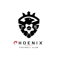 Phoenix Global Elite logo - Similar company to We Are Soccer Network