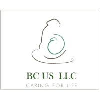 BC US LLC logo - Similar company to Delva Tool & Machine (Cmt)